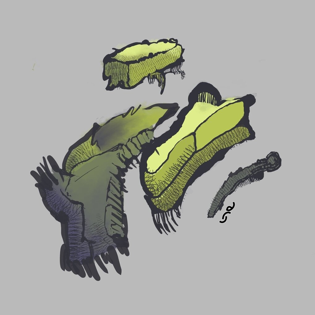 Green_Stones.jpg